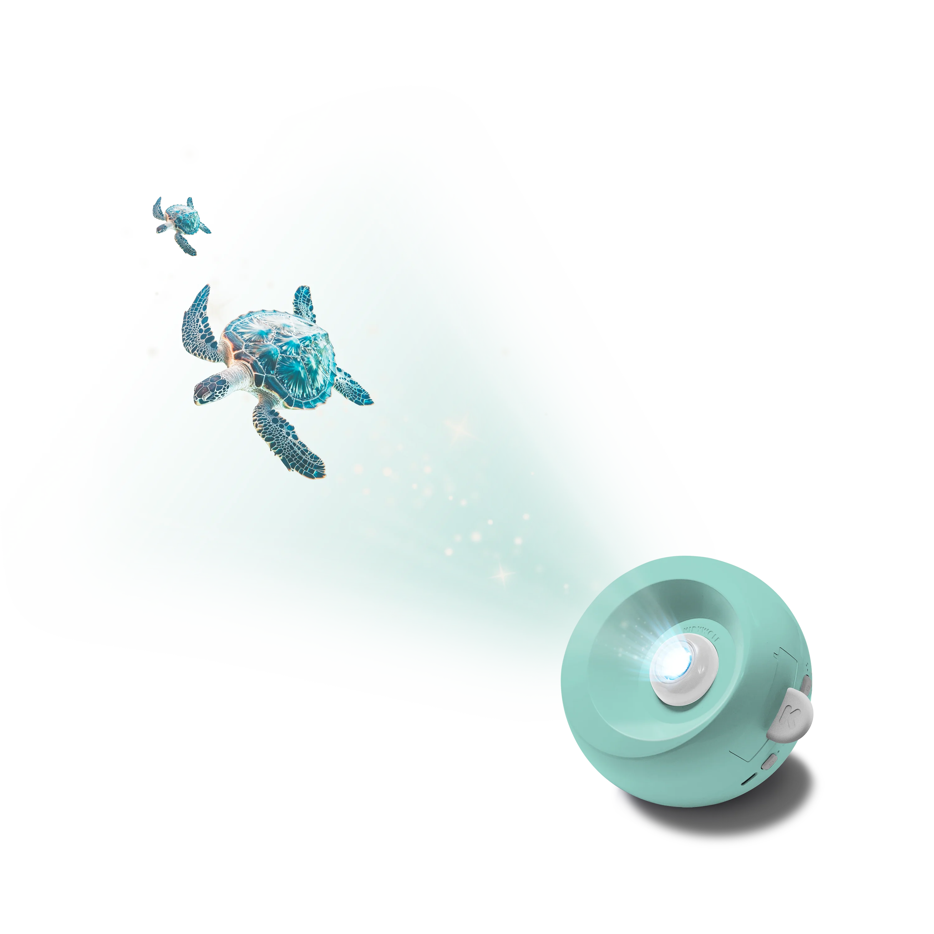 Image du produit 19
