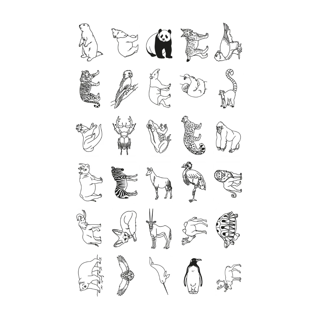 Image du produit 10